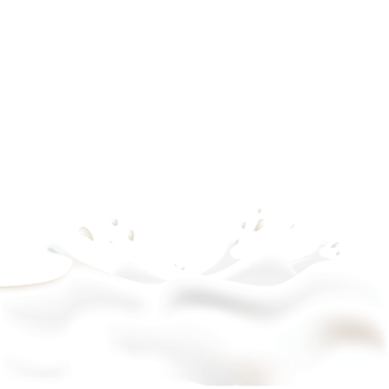 动感牛奶溅起的奶花