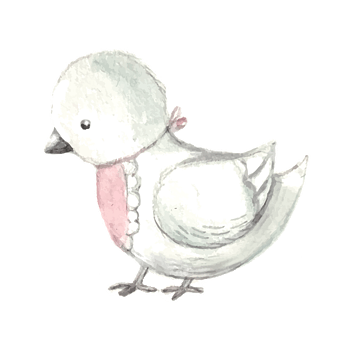 白色可爱小鸟