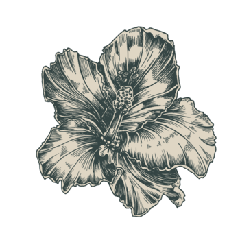 花卉线稿花纹纹样图案