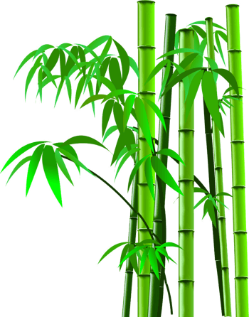 竹叶剪影竹子剪影图片 竹叶剪影竹子剪影设计素材 竹叶剪影竹子剪影素材免费下载 万素网