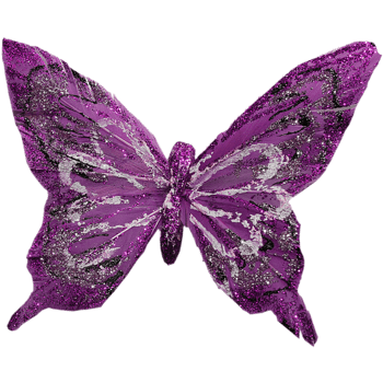 紫色漂亮蝴蝶