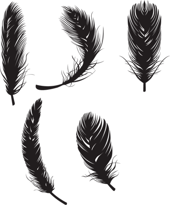 矢量黑色飘落的羽毛