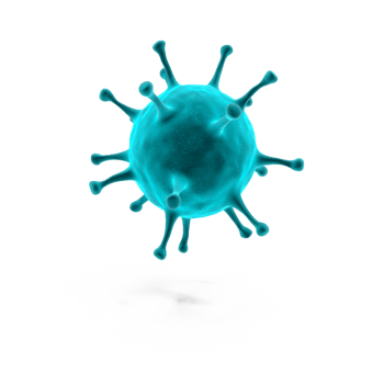 流行感冒病菌体