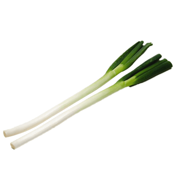 两根切断的大葱