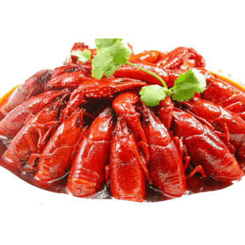 龙虾素材