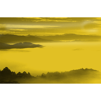 墨绿色远山云雾实物素材