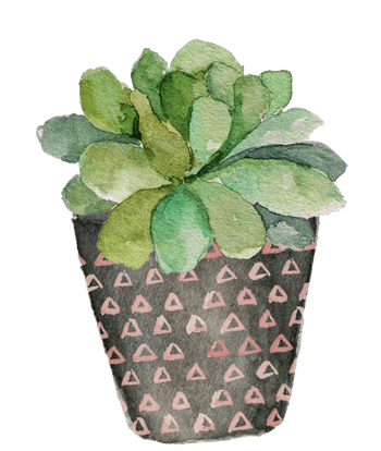 手绘绿色多肉植物