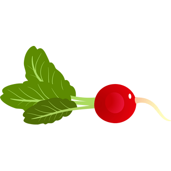 卡通手绘圆萝卜