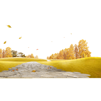 秋天落叶草地背景免抠素材