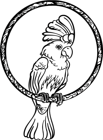 八哥鹦鹉矢量图