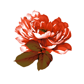 牡丹花瓣图片免费下载_牡丹花瓣素材_万素网