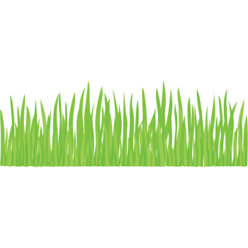 一堆嫩绿色草丛