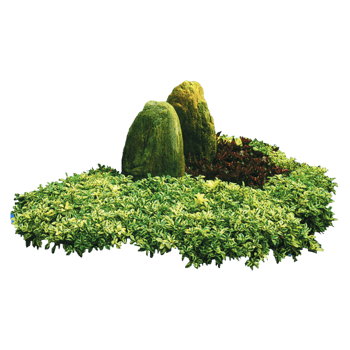 园林绿化带素材