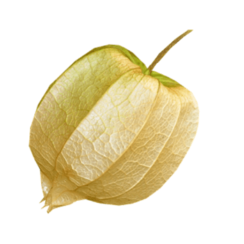 菇茑 素材 免费菇茑图片素材 菇茑素材大全 万素网