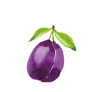 紫叶李卡通图片