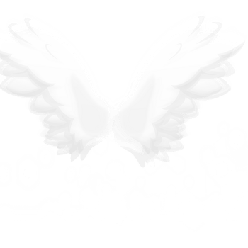 天使之翼 素材 免费天使之翼图片素材 天使之翼素材大全 万素网