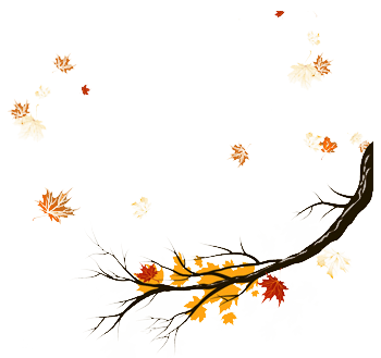 叶子随风飘落的枫叶树