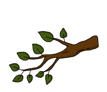 树枝