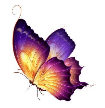 下载png蝴蝶图片下载png下载:1尺寸:675*698下载png紫色蝴蝶素材下载