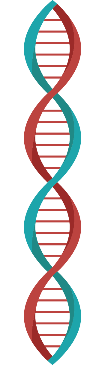 卡通dna 装饰元素 512 512px 编号 Png格式 万素网