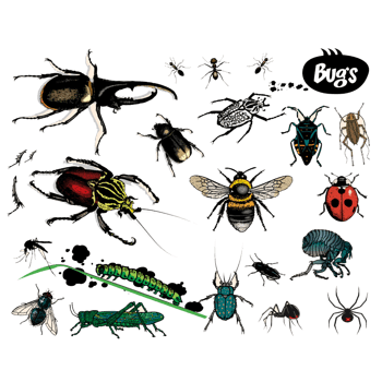 昆虫世界 素材 免费昆虫世界图片素材 昆虫世界素材大全 万素网