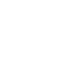 水翅膀 透明翅膀 翅膀