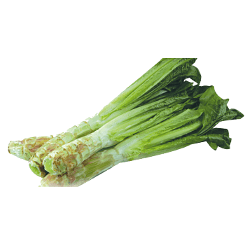 青菜蔬菜图片-青菜蔬菜设计素材-青菜蔬菜素材免费下载-第3页-万素网