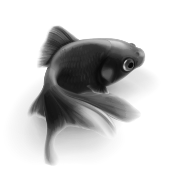 鱼png 素材 免费鱼png图片素材 鱼png素材大全 万素网