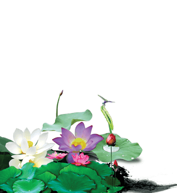 莲花荷叶免抠元素图片-元素素材2920062-万素网