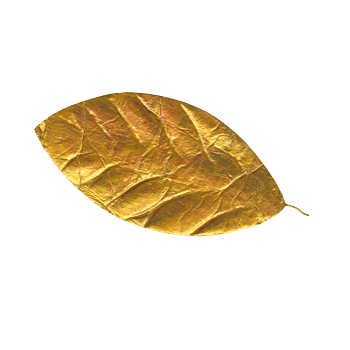 金色的叶子图片-金色的叶子设计素材-金色的叶子素材免费下载-万素网