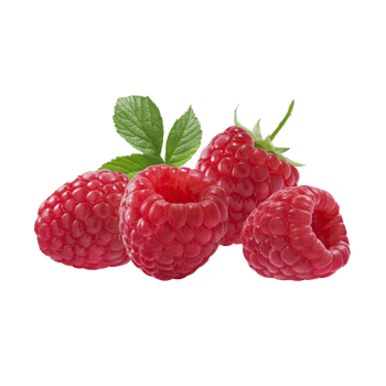 红莓 素材 免费红莓图片素材 红莓素材大全 万素网