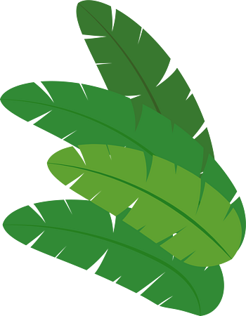 矢量图芭蕉叶