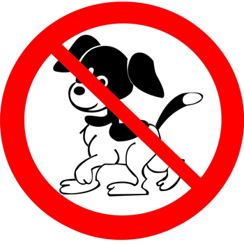 原创矢量活动背景图