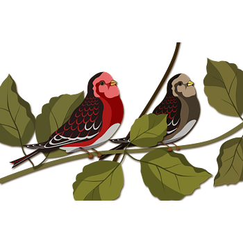 卡通手绘动植物枝头上的鸟