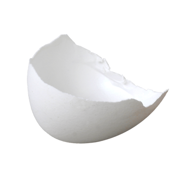 残破白色蛋壳
