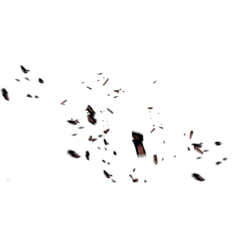 飘落的木屑棕色木屑散碎的木屑