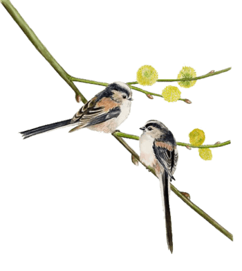 手绘背景横幅矢量图素材图片下载-万素网