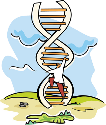 科学实验dna梯子