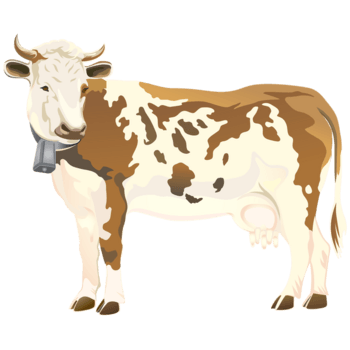 大奶牛 素材 免费大奶牛图片素材 大奶牛素材大全 万素网