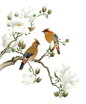 手绘花鸟画png元素素材图片下载-万素网