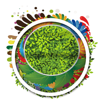 绿色圆形树叶免抠元素图片