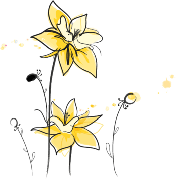 卡通手绘绽放的黄花