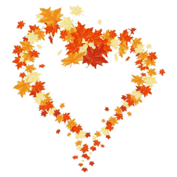 心形枫叶素材