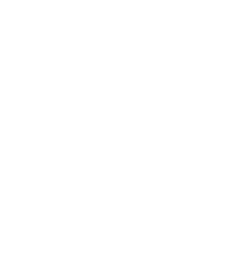 白色玫瑰花花卉植物