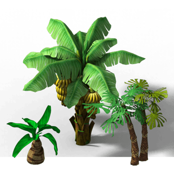 芭蕉立体树叶