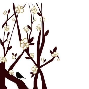 黄色木棉花落叶