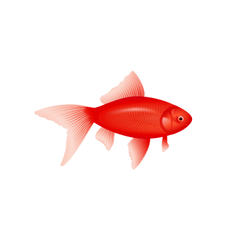 红色金鱼简笔画图片