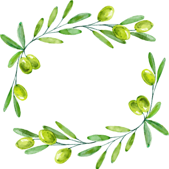 水彩绿色橄榄装饰边框