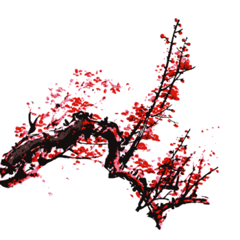 梅花枝