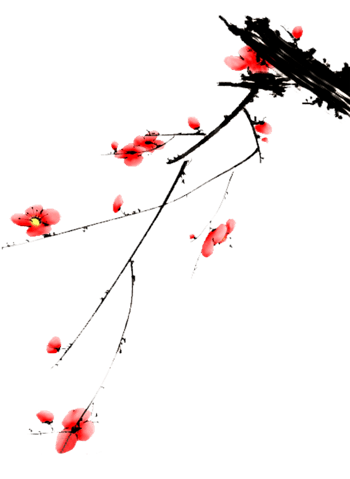 梅枝图片免费下载-梅枝素材-万素网